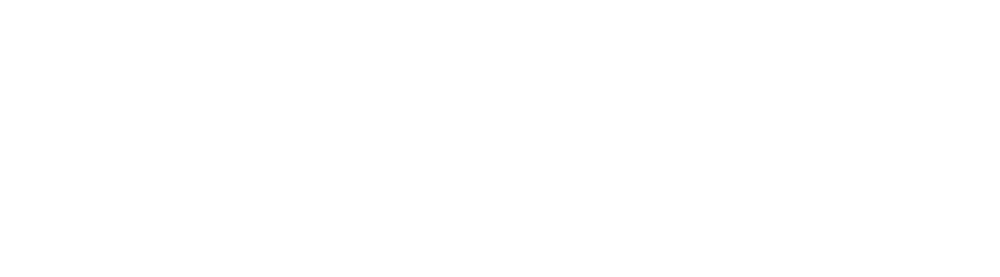 Odyssey Global SIM